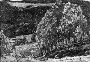 Summer Hillside