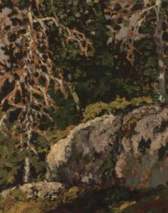Lichen by Francis Hans Johnston