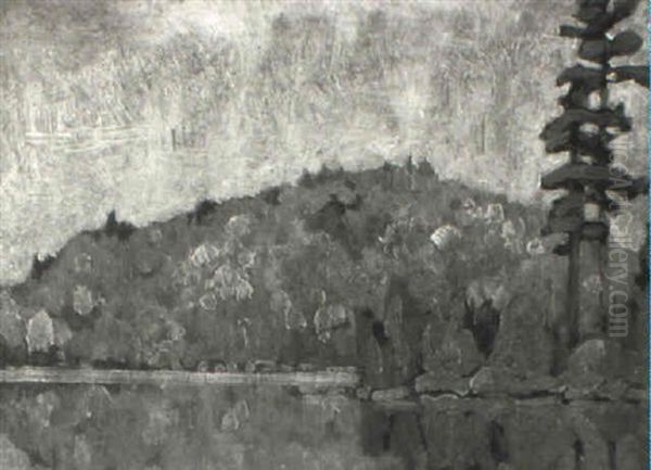 The Golden Hill, Mongoose Lake - view 1
