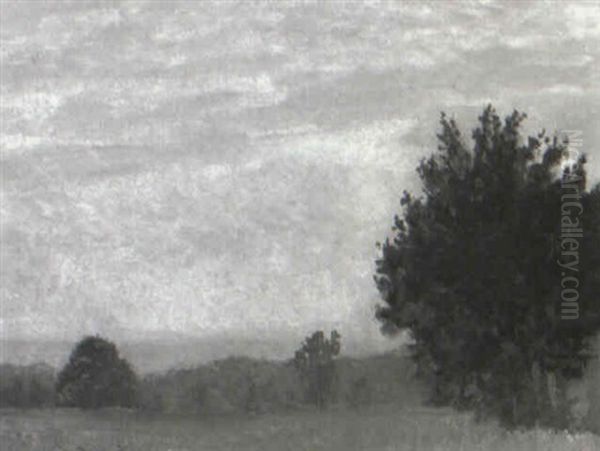 A Summer Day - view 1