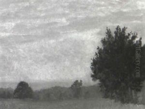 A Summer Day