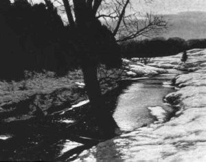 Early Snow by Francis Hans Johnston
