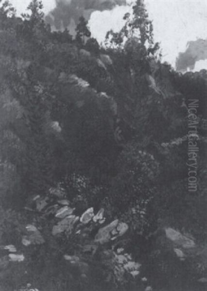 Canyon Wall, Algoma - view 1