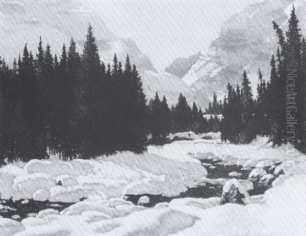 The Open Stream, Jasper Park, Alberta - view 1