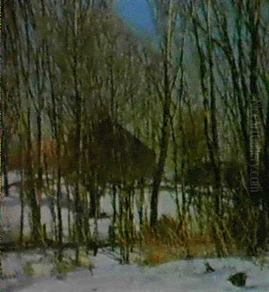 Veils Of Spring - view 1