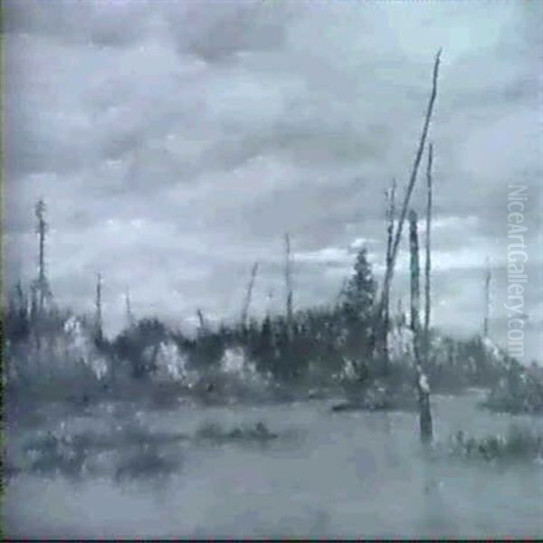 Haunt Of The Beaver - view 1