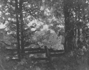 Sunshine Through The Trees by Francis Hans Johnston