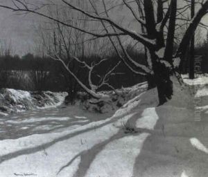 Opal Shadows, York Mills, Ont. by Francis Hans Johnston
