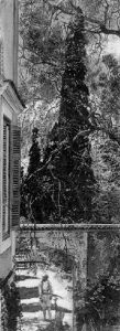 The Garden Of The British Consulate, Tunis - La Villa Marsa The Garden Of The British Consulate, Tunis - La Villa Marsa