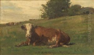 Cow Reclining by John Bernard Johnston