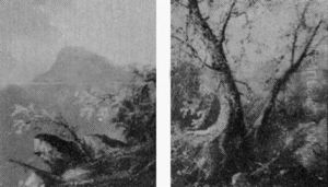 Landscape Landscape