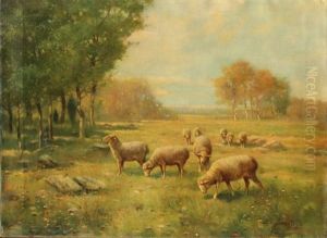 Sheep by Reuben Le Grande Johnston