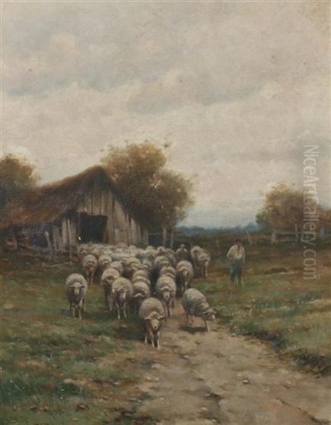 The Sheep Fold - view 1