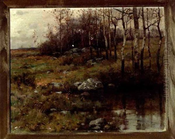 Maryland Landscape With Birch Trees - view 1