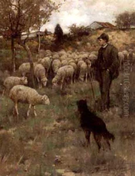 Tending Sheep - view 1