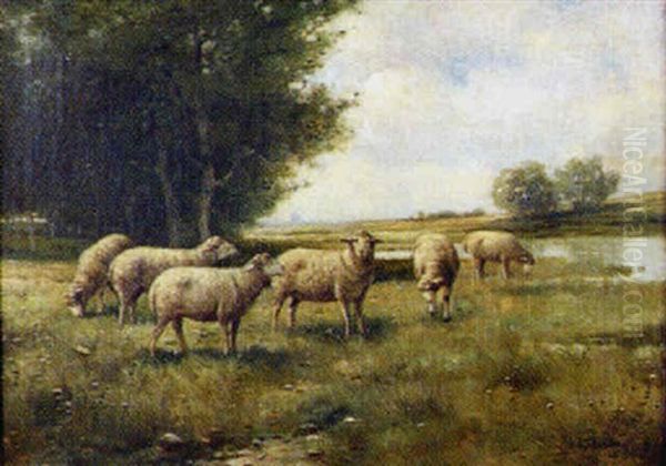 Landscape With Sheep Next To A River - view 1