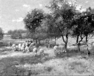 Sheep In A Lush Pasture by Reuben Le Grande Johnston