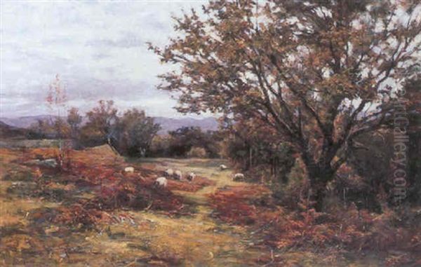 Sheep Grazing By The Woods - view 1