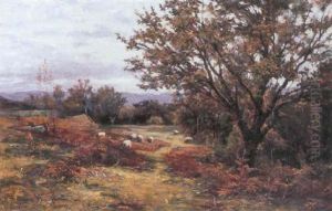 Sheep Grazing By The Woods