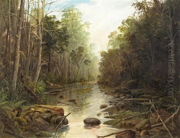 Bush Creek - view 1