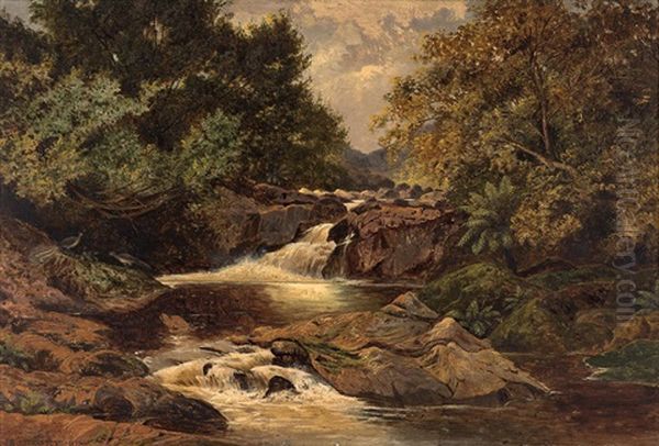 Ferntree Gully - view 1