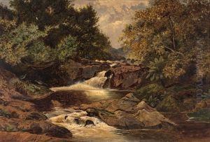Ferntree Gully