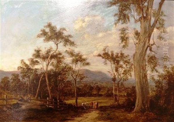 At Lilydale - Dandenong Ranges - view 1