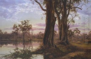 Evening Mist, Sunset On The Lagoon At Seymour