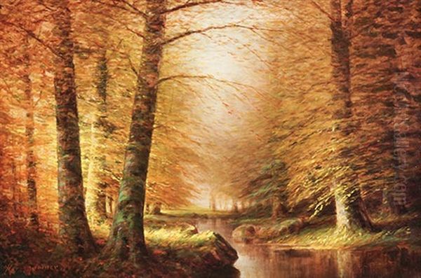 Stream In The Woods - view 1