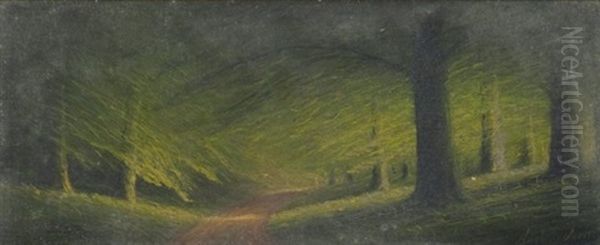 Road Through The Woods - view 1