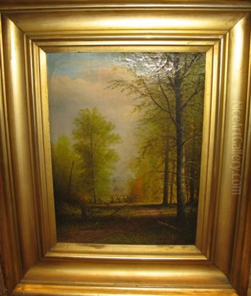 Wooded Country Road - view 1
