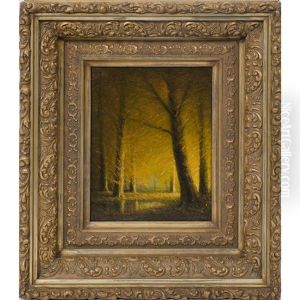 Kentucky Beech Trees