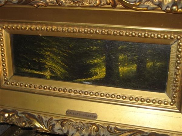 Sunlit Woods - view 1