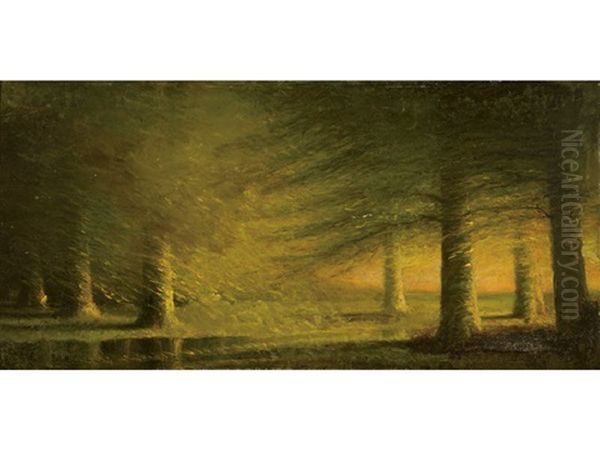 Sunlit Forest - view 1