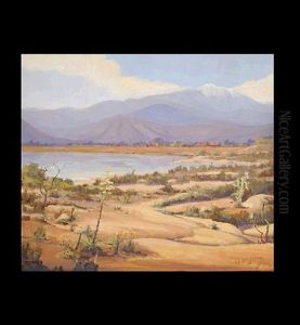 Southern California Desert