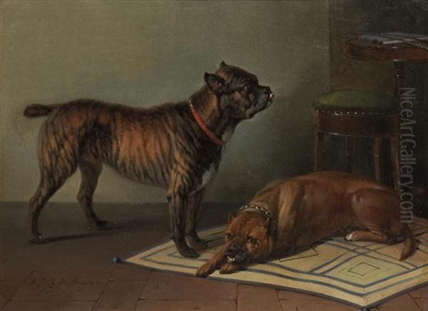 Chiens - view 1