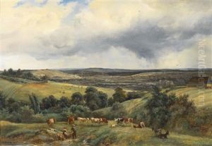 Weite Landschaft Mit Tierherde