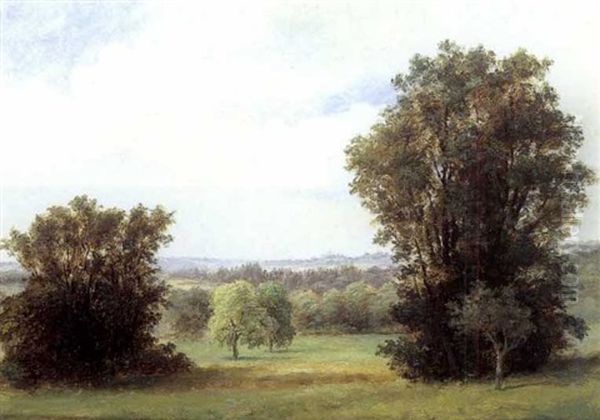 Paysage - view 1