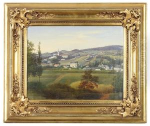 Blick Auf Einen Markt