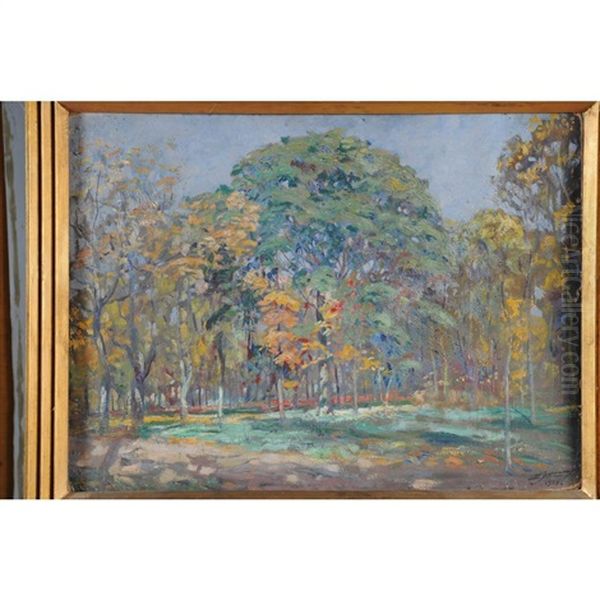 Foret En Automne - view 1