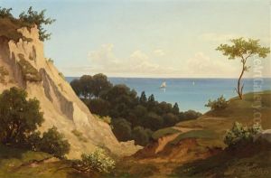 Le Polichinelle by Rudolf Jonas