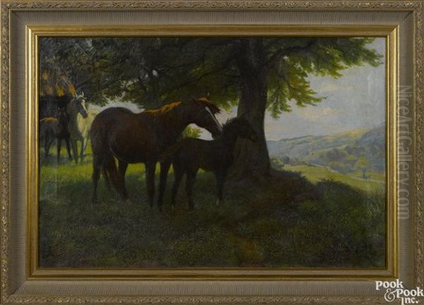 Horses - view 1