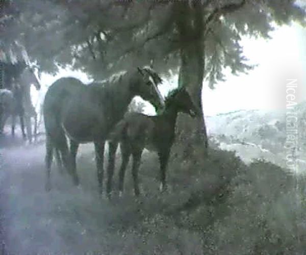 Mare And Foal - view 1