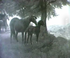 Mare And Foal Mare And Foal