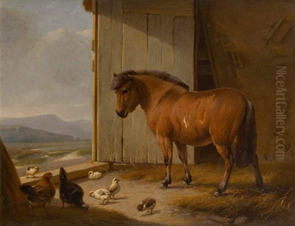 Poney Dans L'embrasure De La Porte - view 1