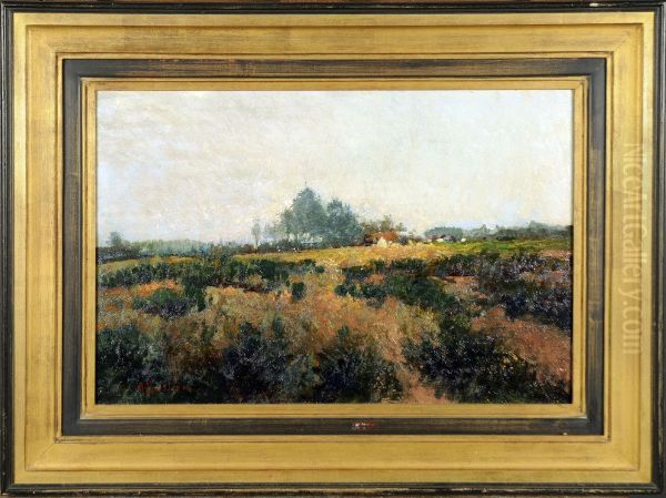 Paysage - view 1