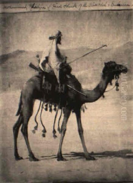 Mohammed Khalifa - view 1