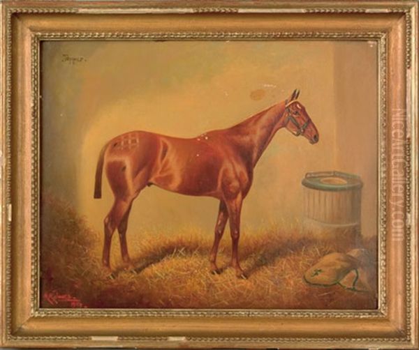 Horse Portrait - view 1