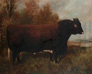 Royal Seal - A Shorthorn Bull by Herbert H. St. John Jones