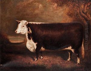 "merry Agnes 33rd", Champion Hereford Heifer by Herbert H. St. John Jones